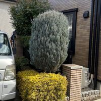 画像1311