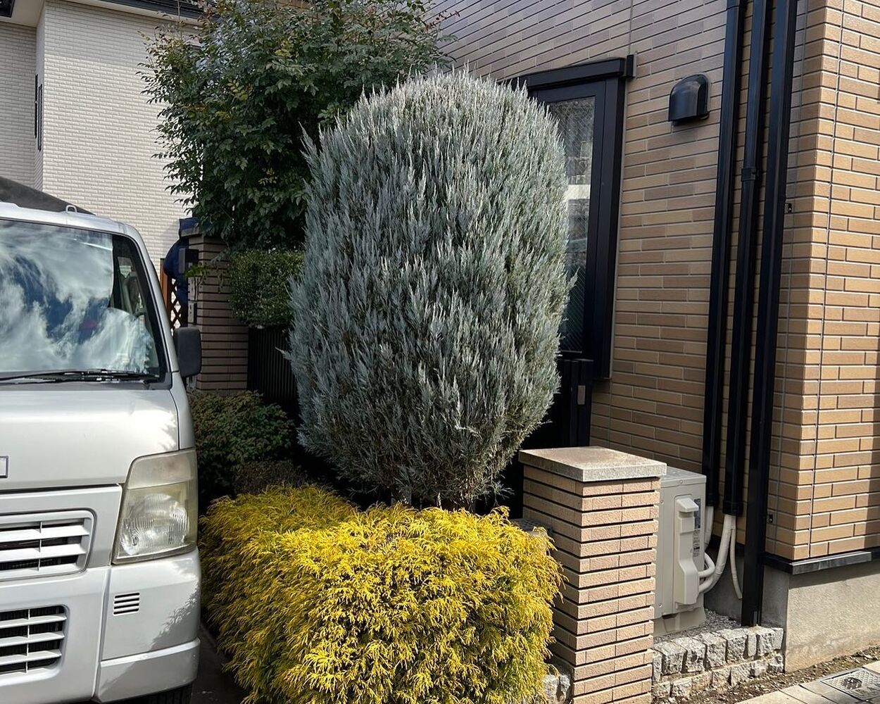画像1311