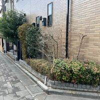 画像1312