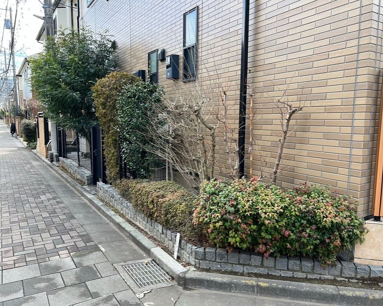画像1312