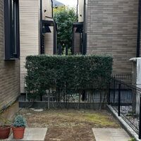 画像1313