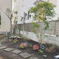 画像1317