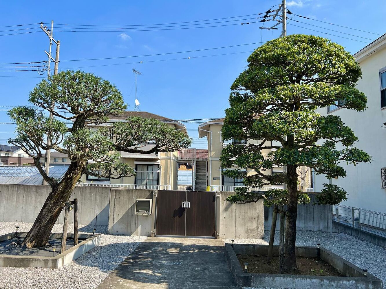 画像1331