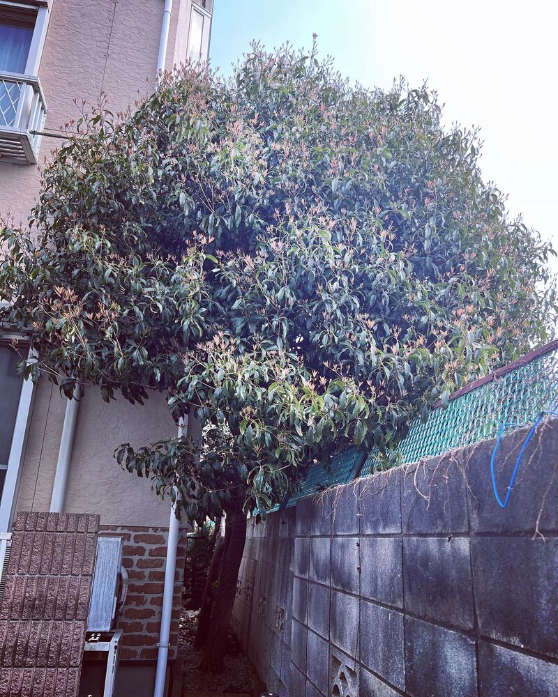 画像1342