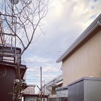画像1345
