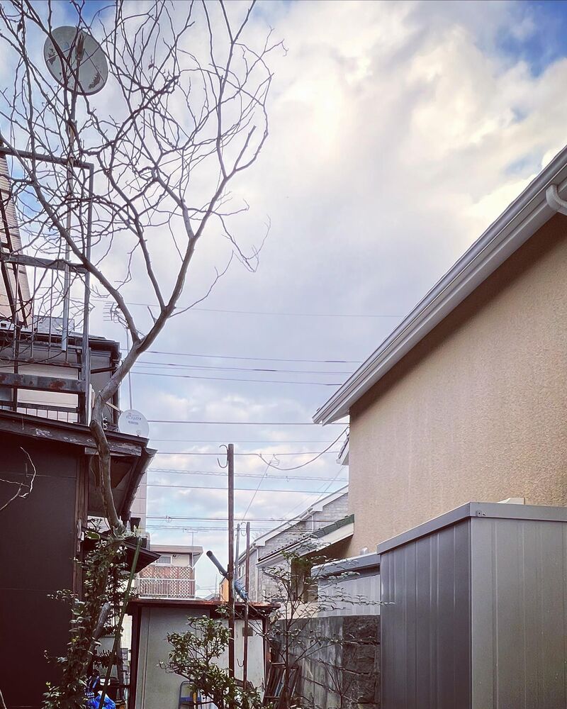 画像1345