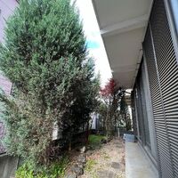 画像1364