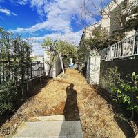 画像1371