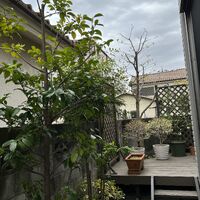 画像1374