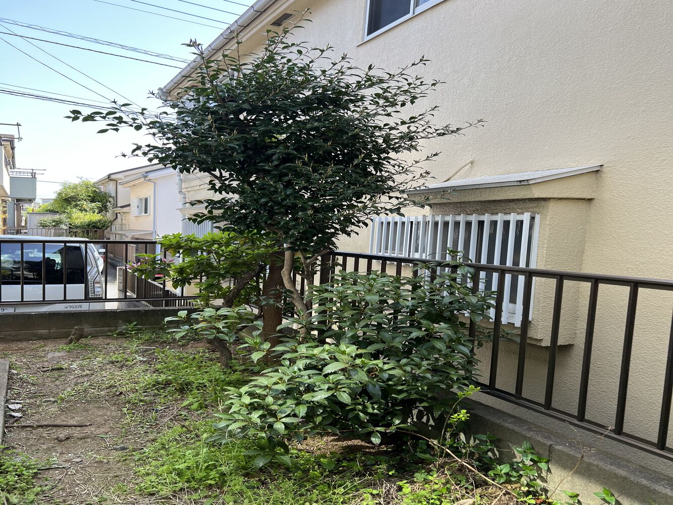 画像1378