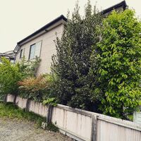 画像1420