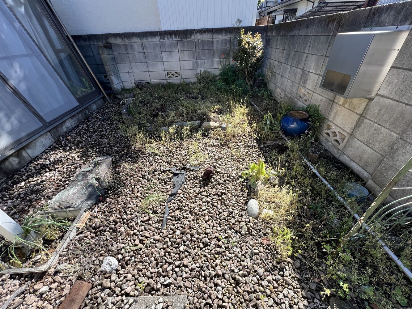 画像1428
