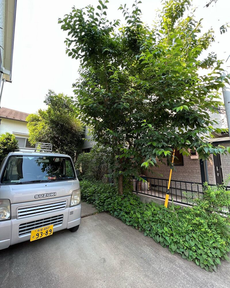 画像1461