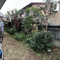 画像1462