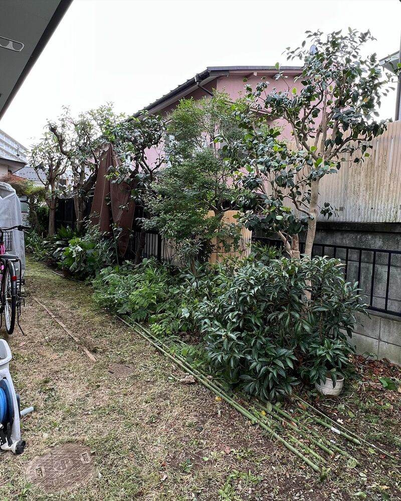 画像1462