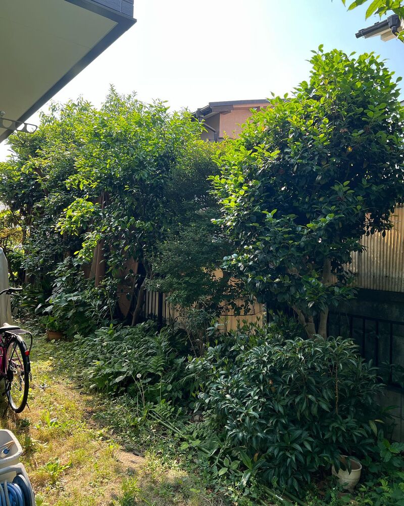 画像1463