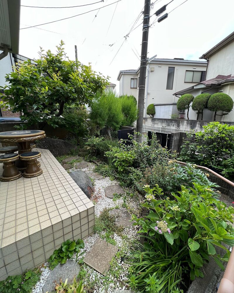 画像1488