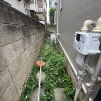 画像1490