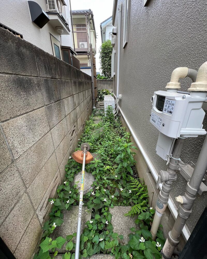 画像1490
