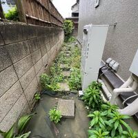 画像1492
