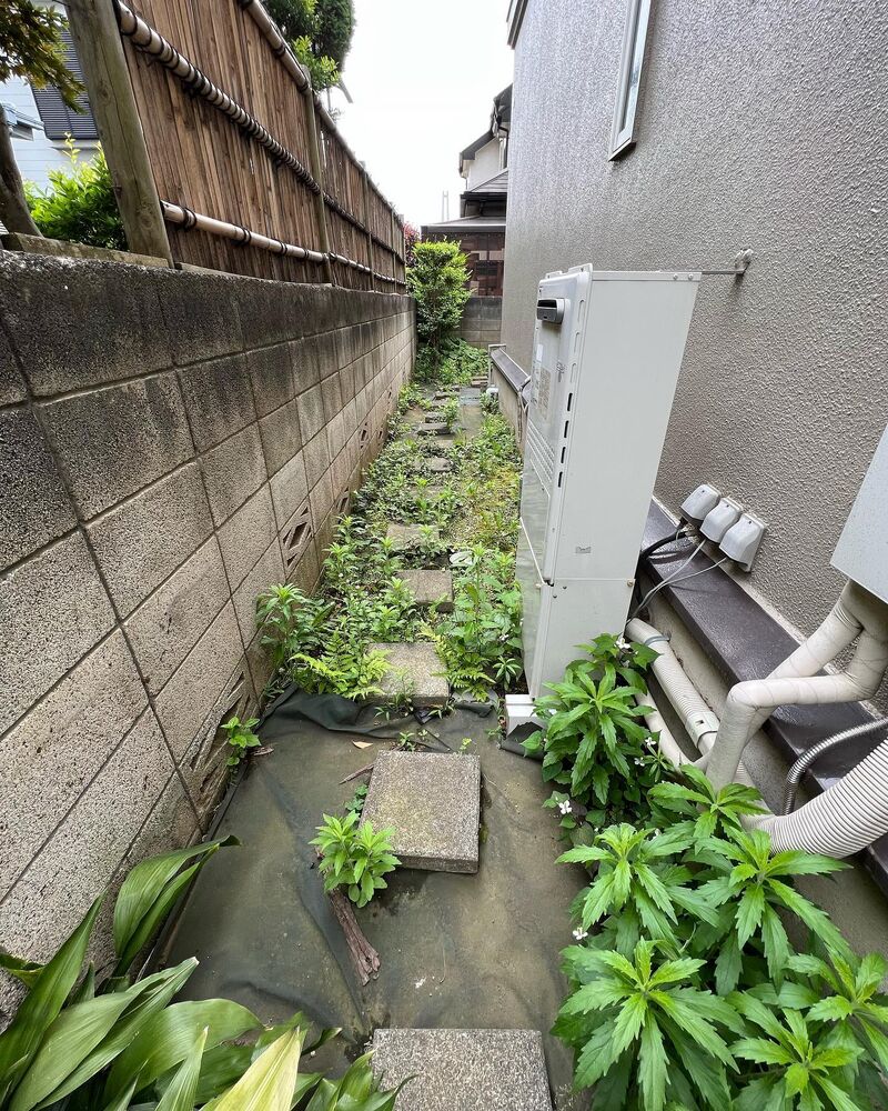 画像1492