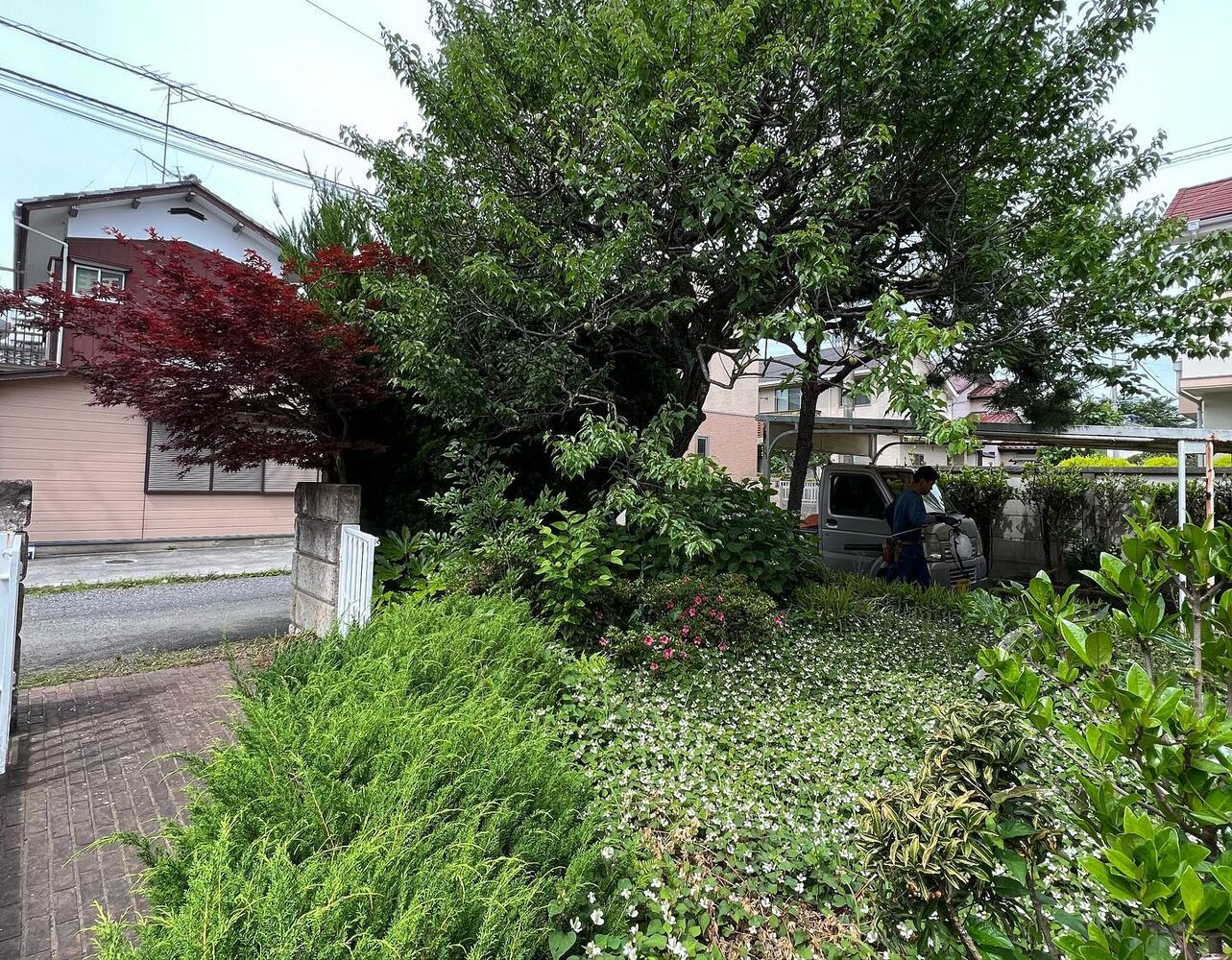画像1496