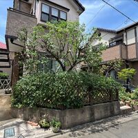 画像1499