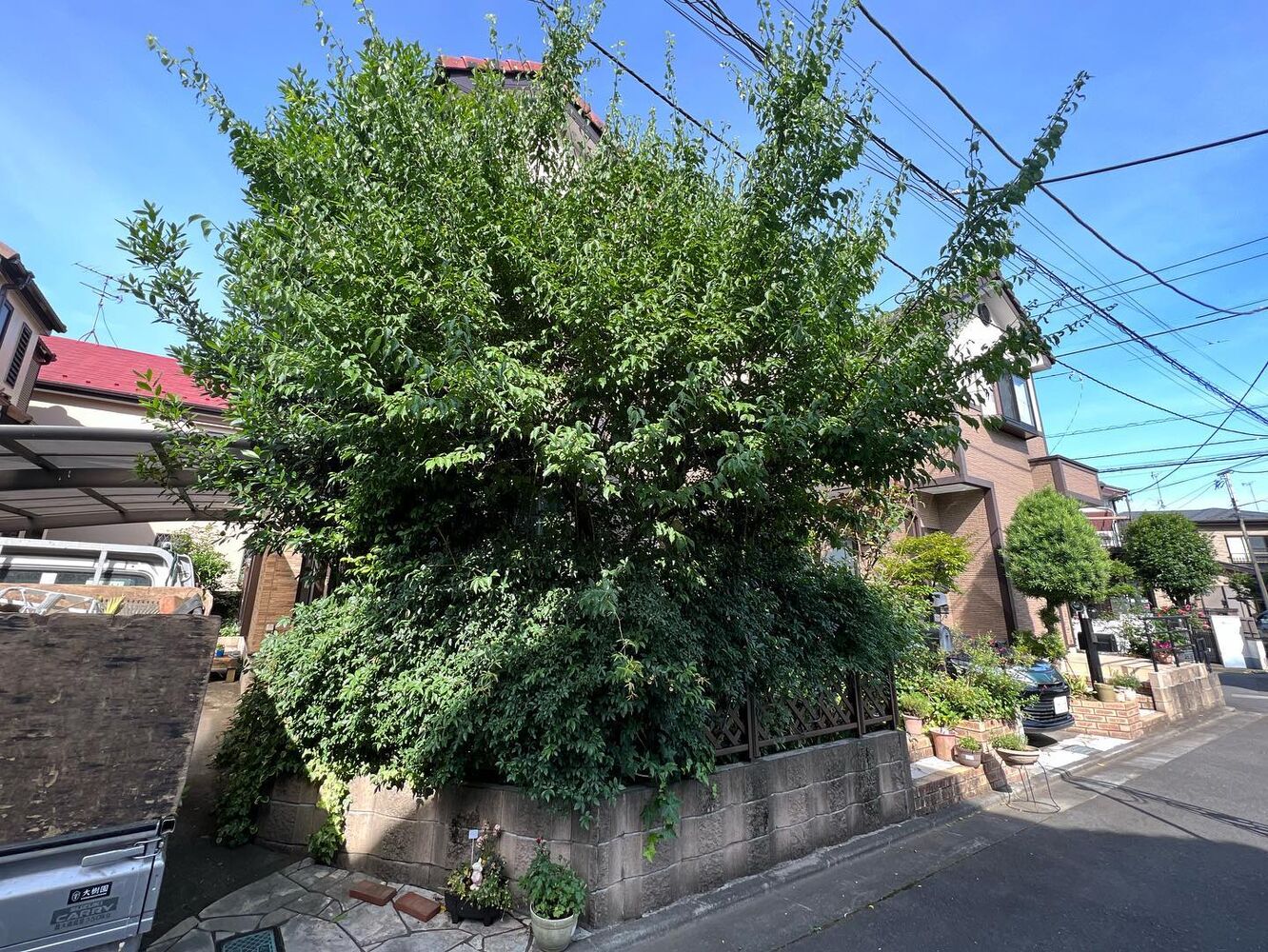 画像1500
