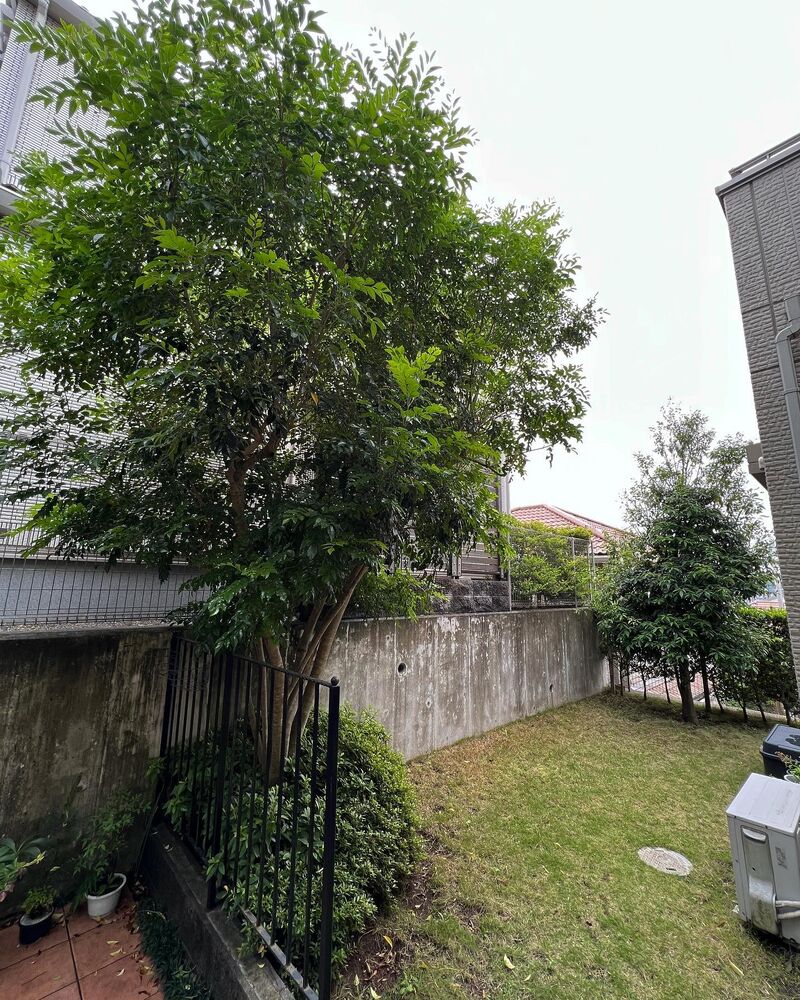 画像1503