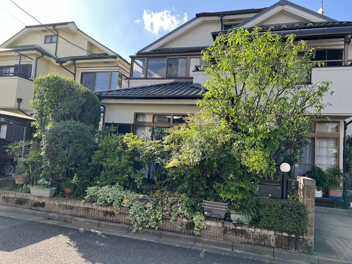 画像1516