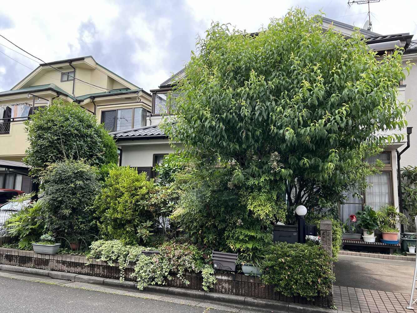 画像1517