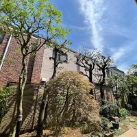 画像1528
