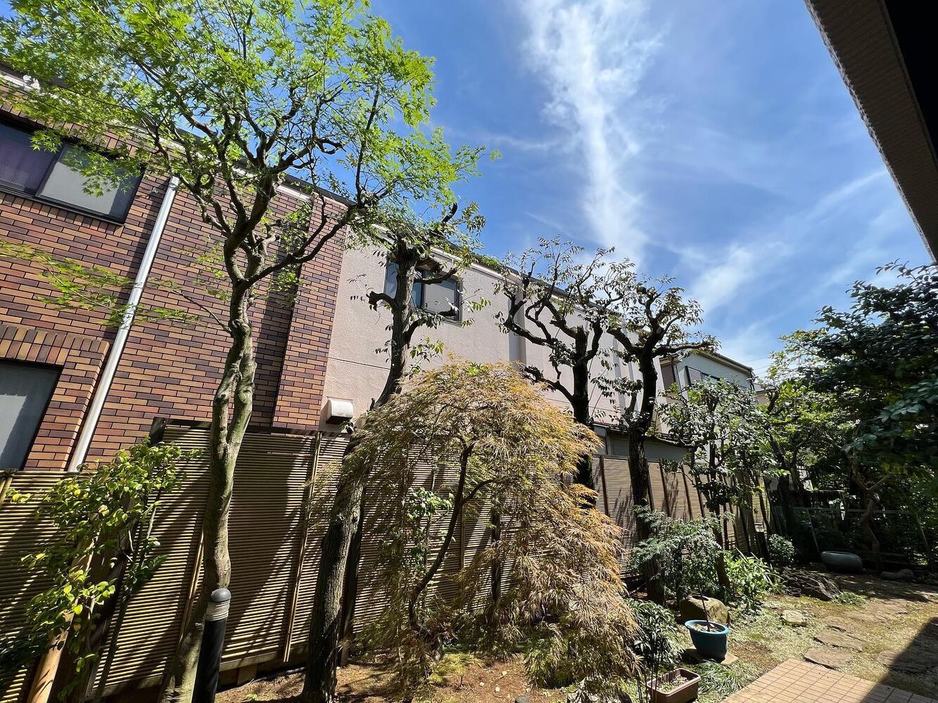 画像1528