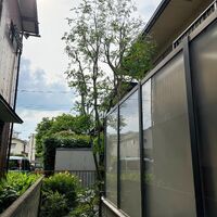 画像1531