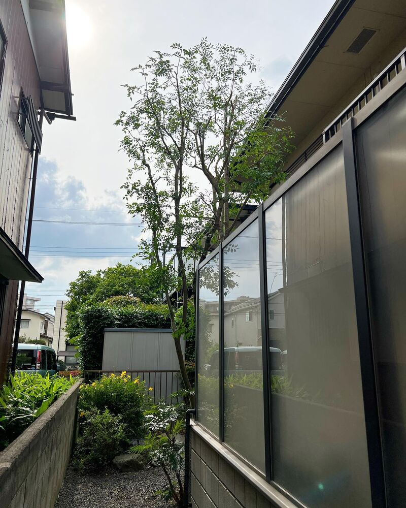 画像1531