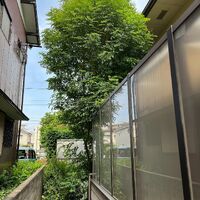 画像1532