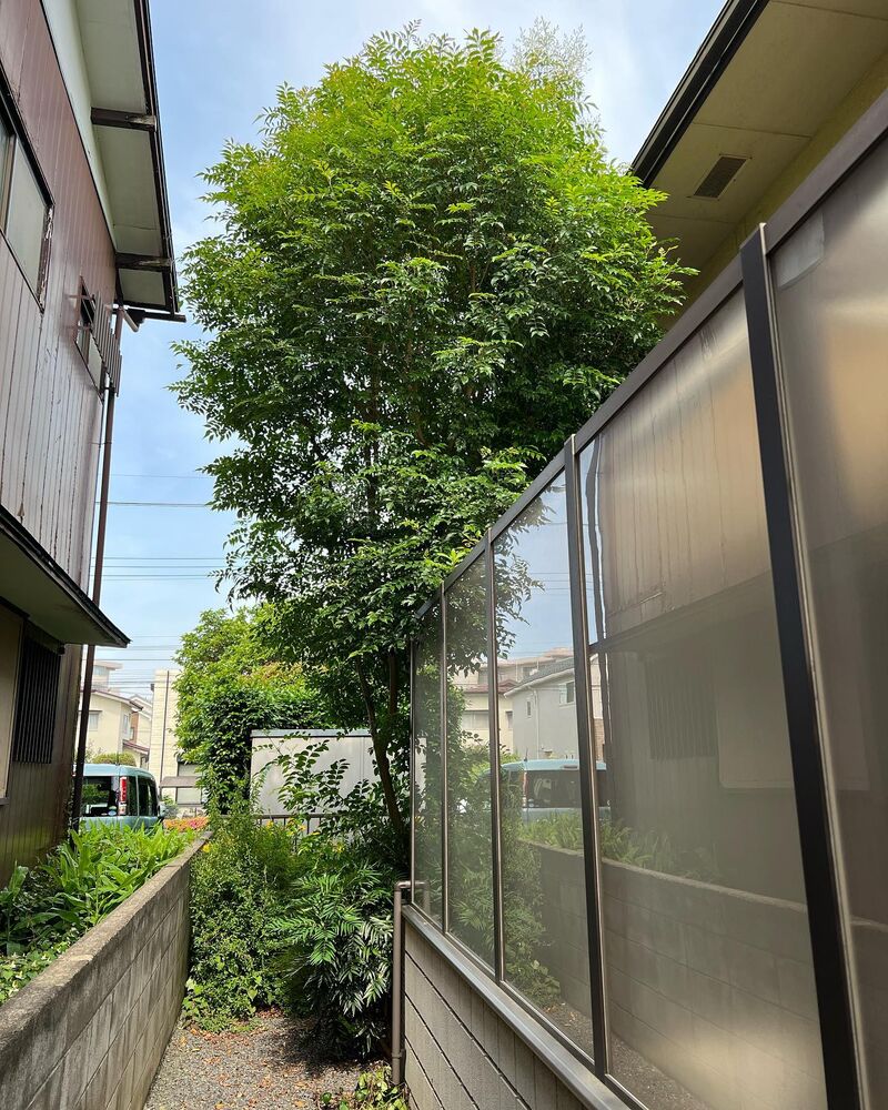 画像1532