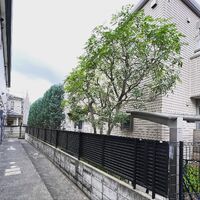 画像1543