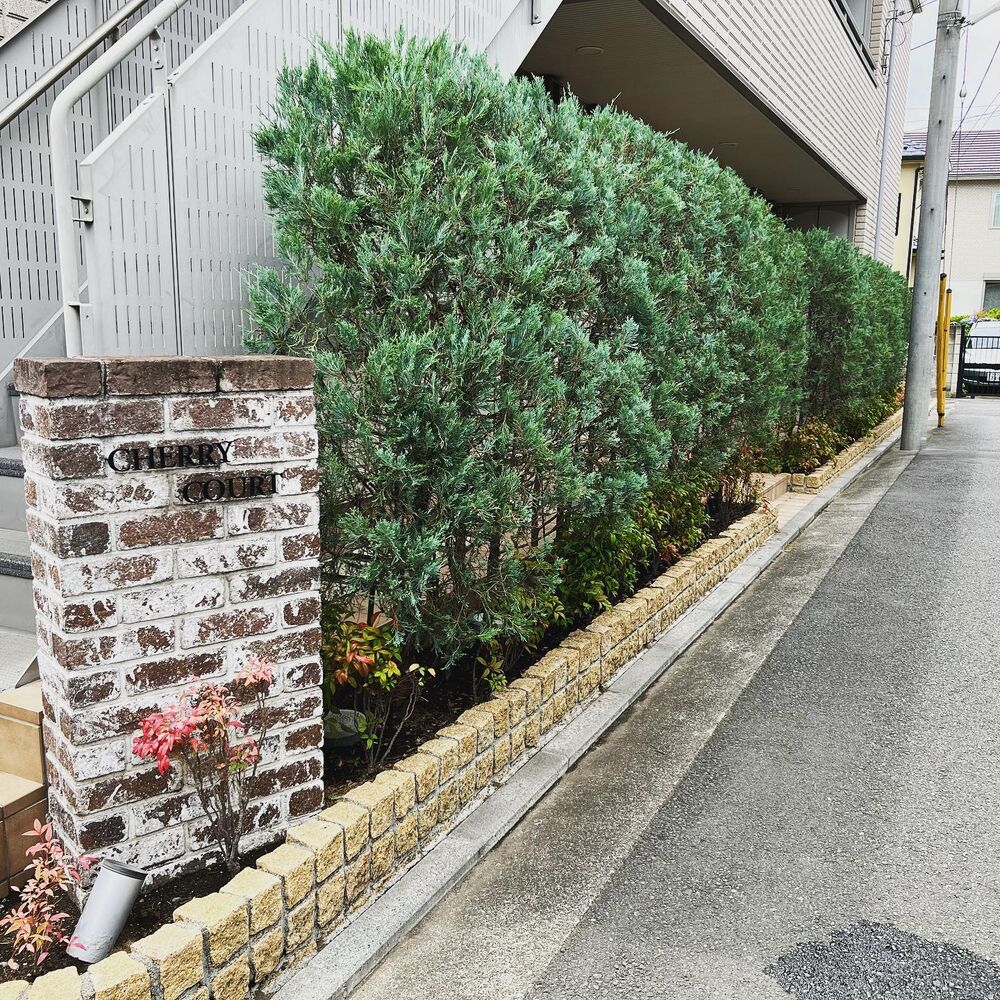画像1545