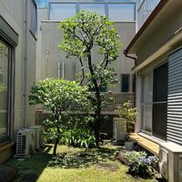 画像1559
