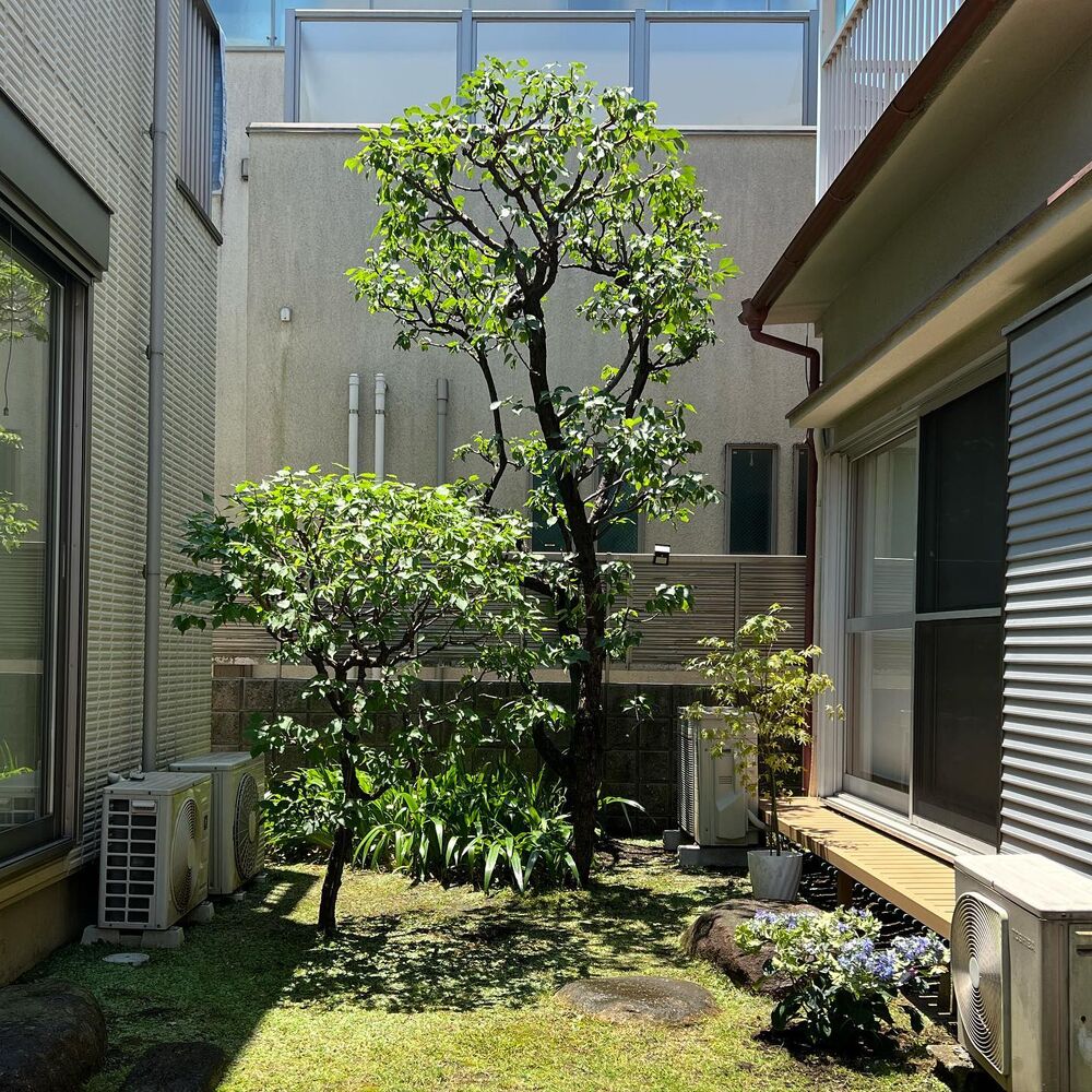 画像1559