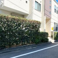 画像1562