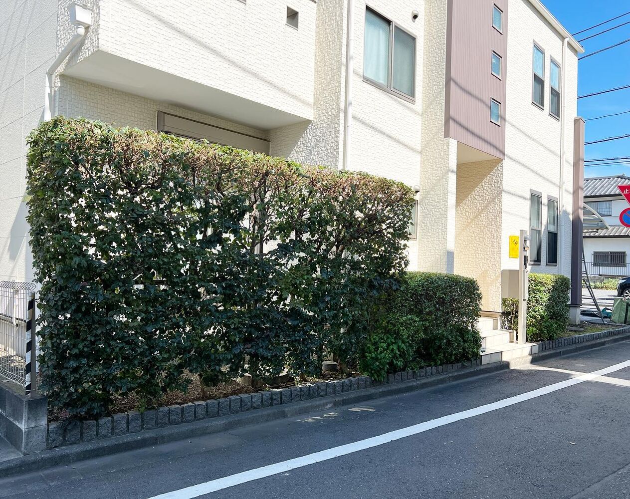 画像1562