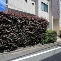 画像1563