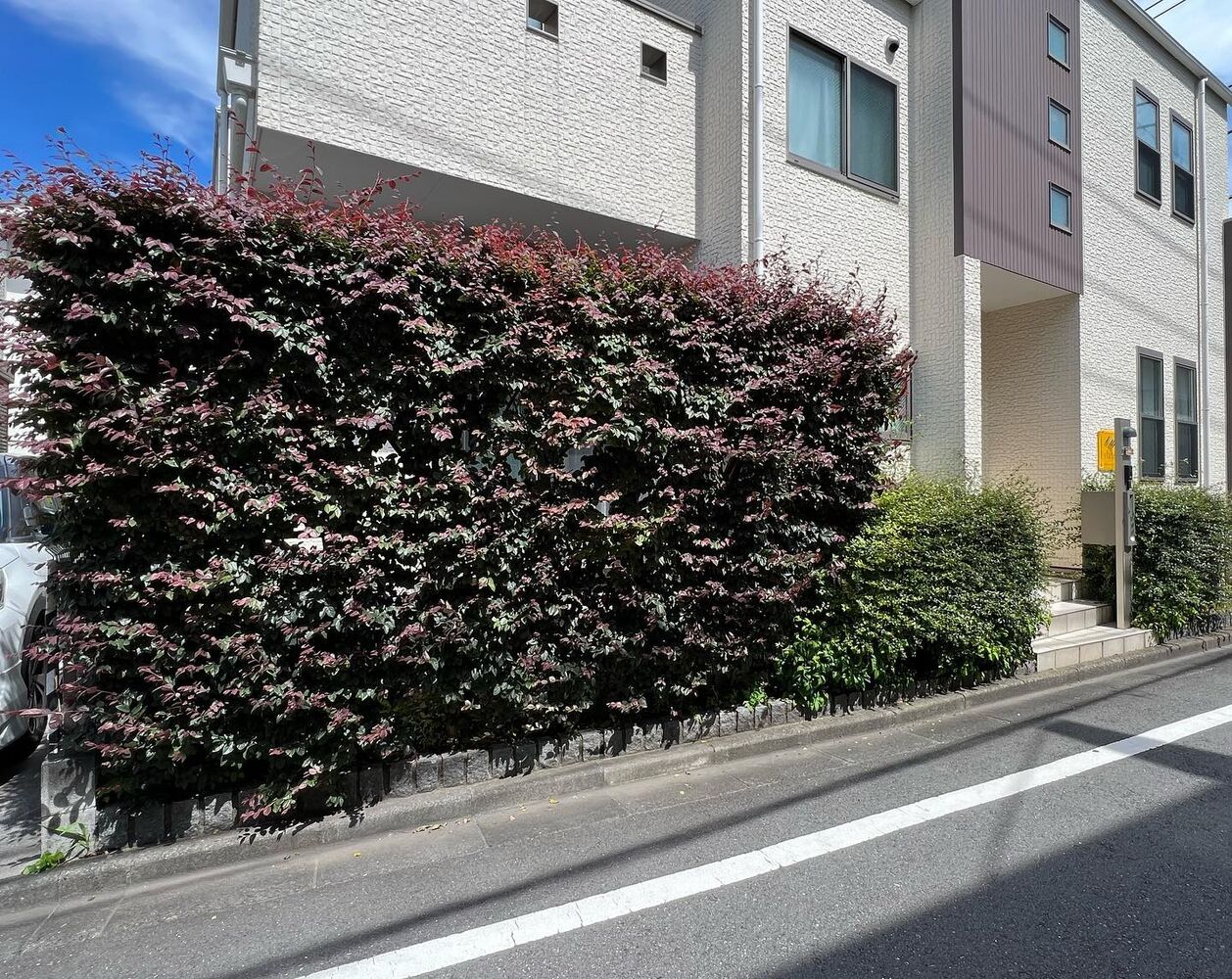画像1563