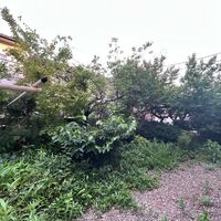 画像1571