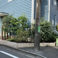画像1574