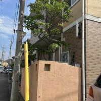 画像1599