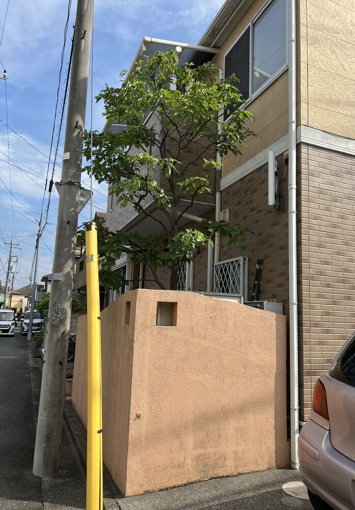 画像1599