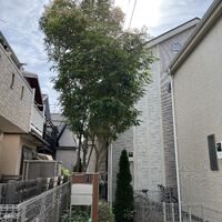 画像1608